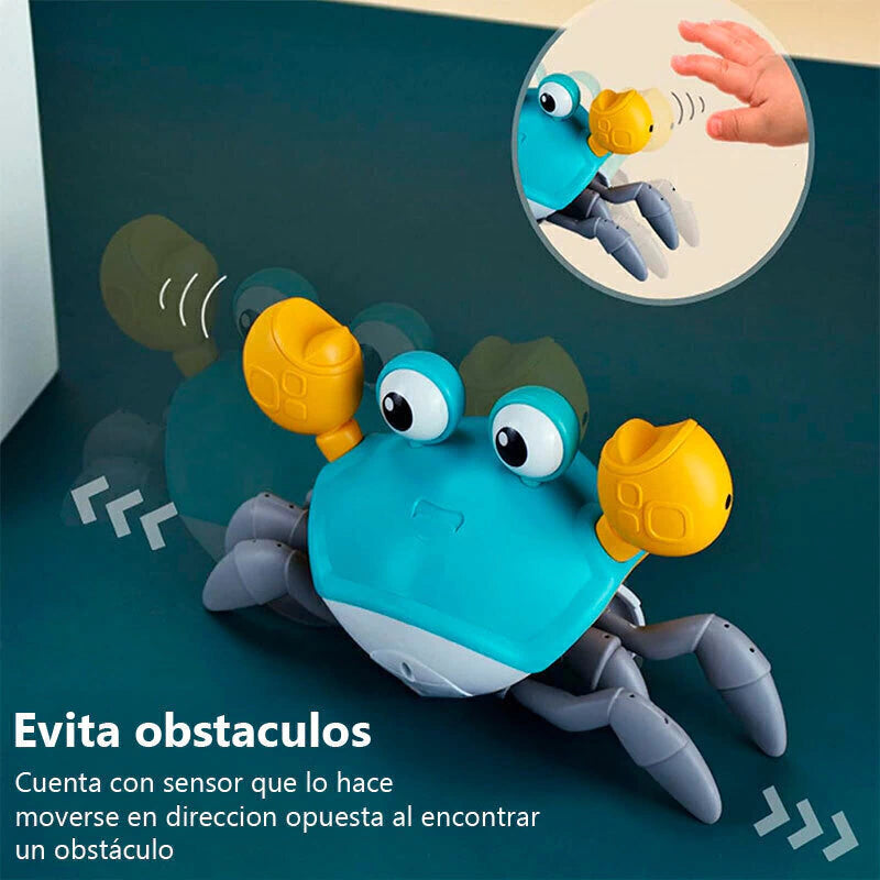 Cangrejo Estimulador Crabito el explorador