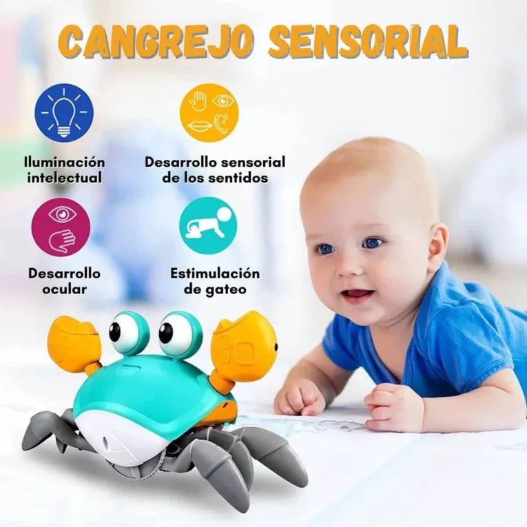 Cangrejo Estimulador Crabito el explorador
