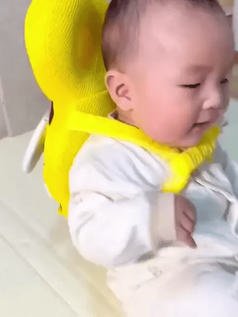 Mochila Abeja Protectora