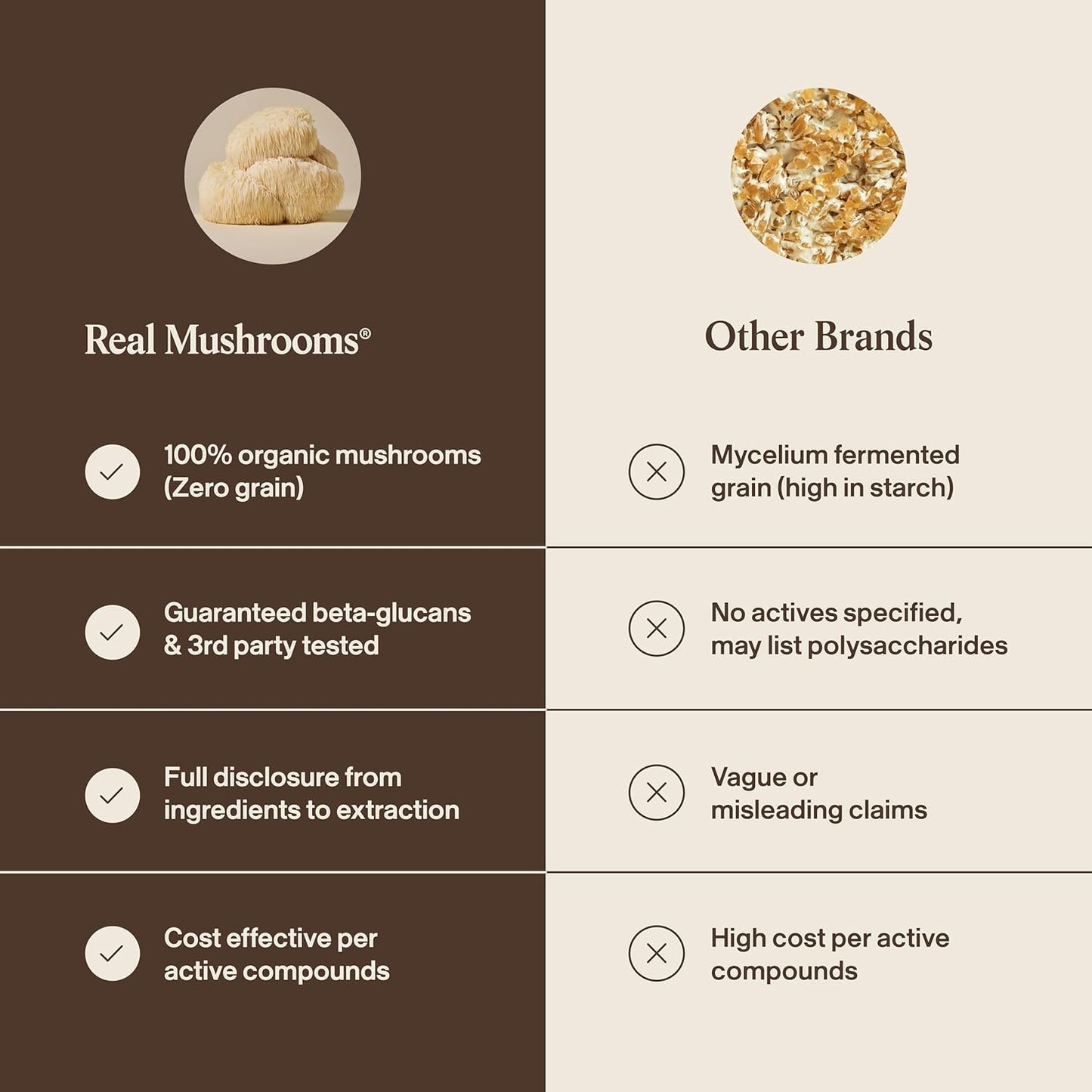 Mente Fuerte Mushroom