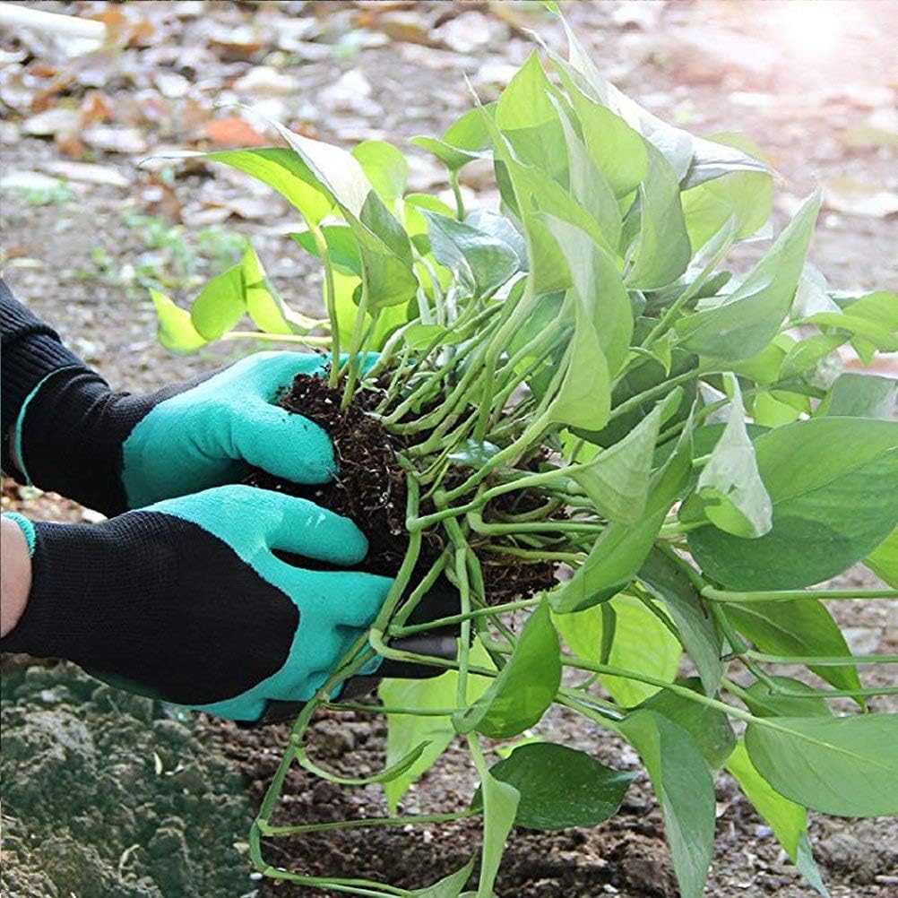 Guantes con Garras para Jardín