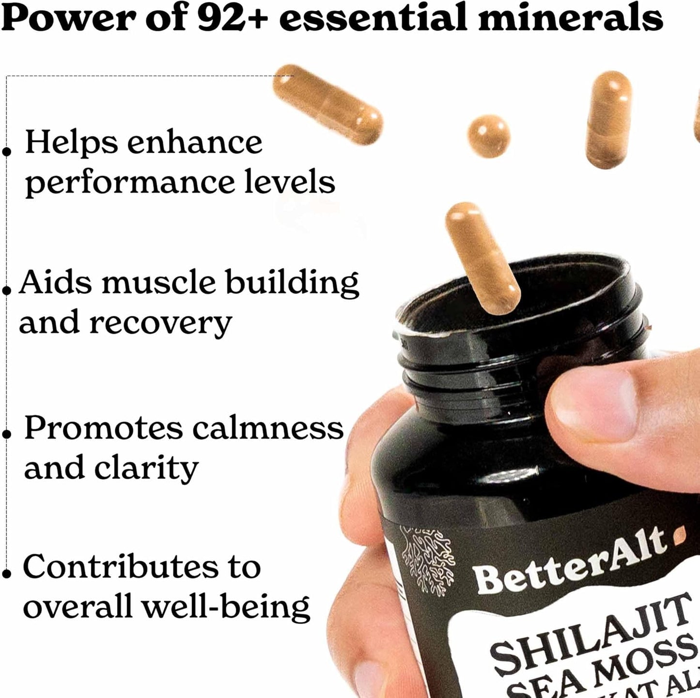 VitaFuerza Completo Energía Max